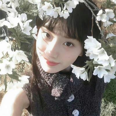 花中寻凶：死亡与鲜花